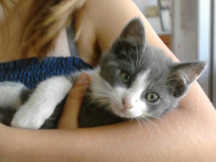 pistache - (3 mois)