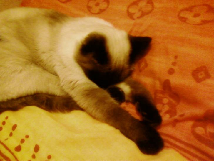 bonne nuit - (2 ans)