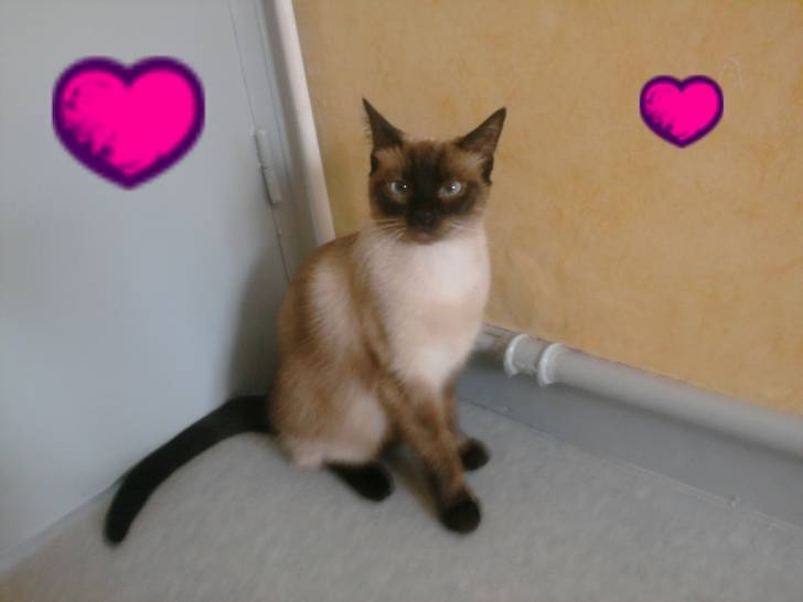 neige - (2 ans)