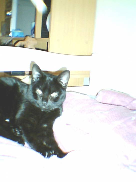 douce - (9 mois)