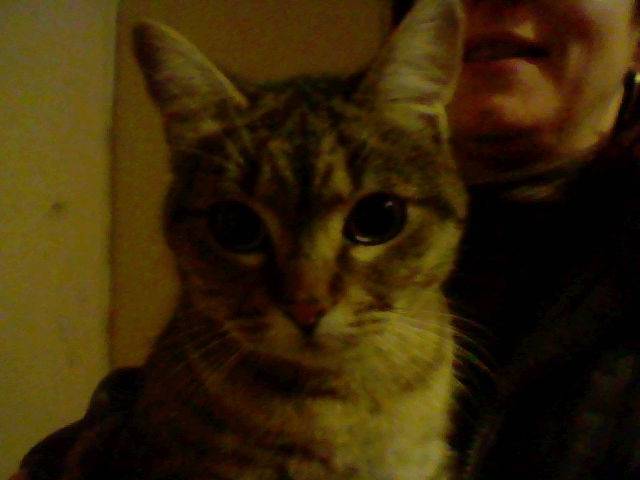 Miel - (3 ans)