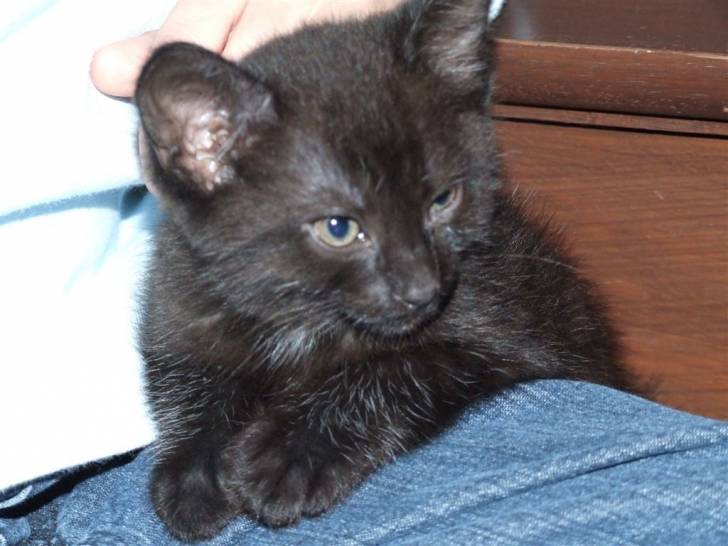 Lily - (2 ans)