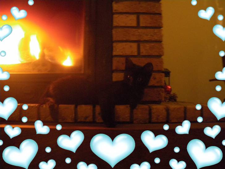Lily - (2 ans)