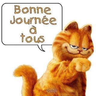 chat - (3 mois)