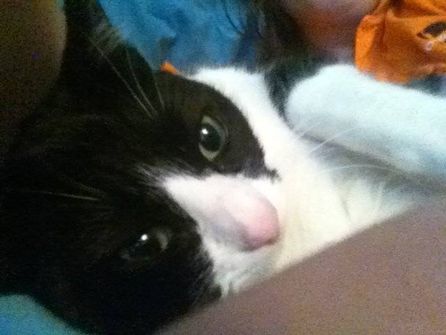 Jess - (3 ans)