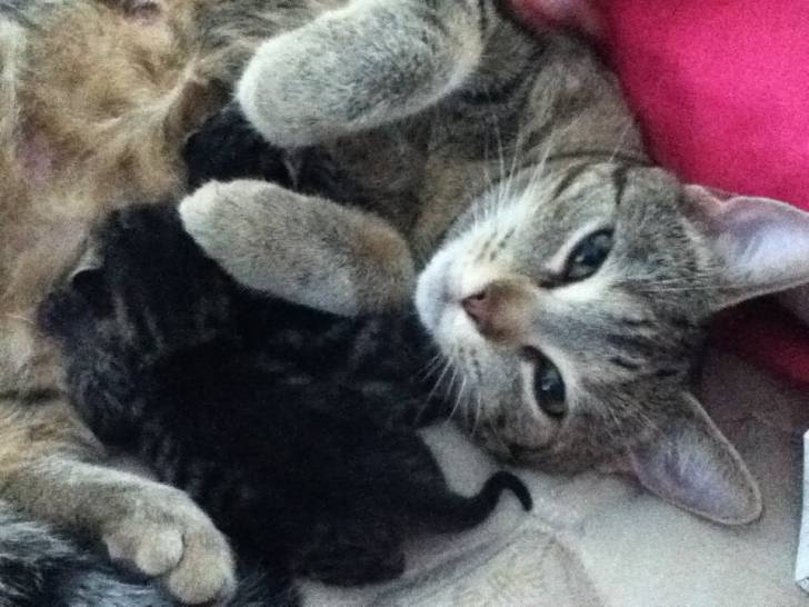 Pearl - (3 ans)