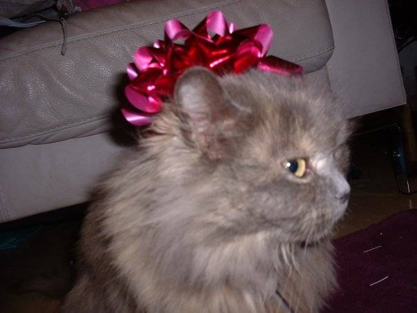 Coco - (6 ans)