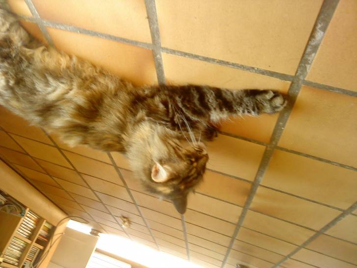 Zoé - (4 ans)