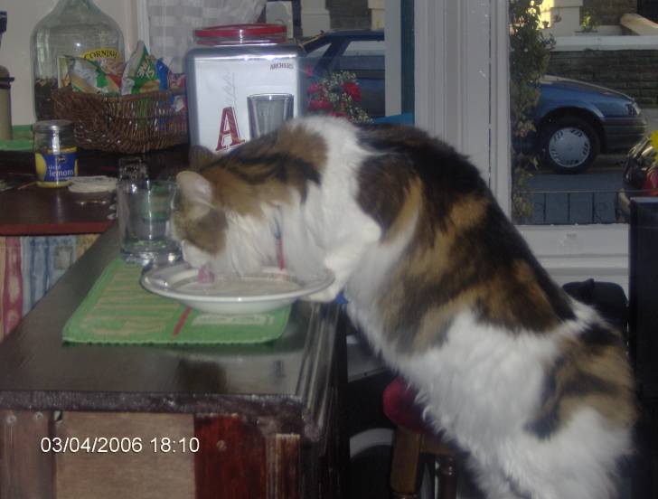 Jess - (9 ans)