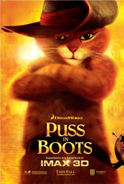 chat botté - Mâle (2 ans)