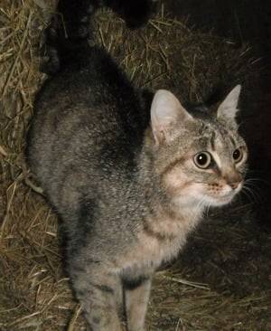 Jill - (3 ans)