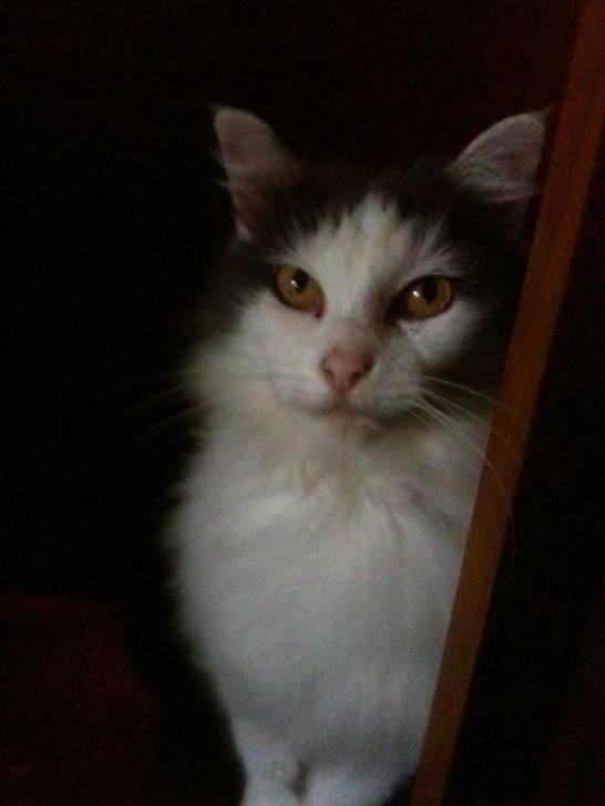 mimi - (7 ans)