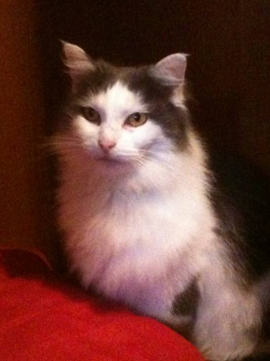 mimi - (7 ans)