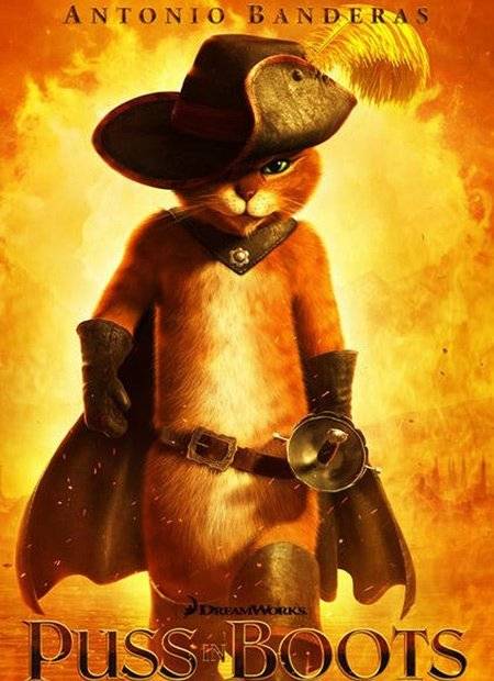 le chat botté 1400 - Mâle (2 ans)
