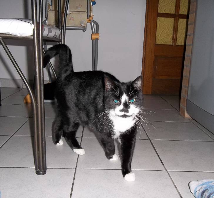 Myrtille - (3 ans)