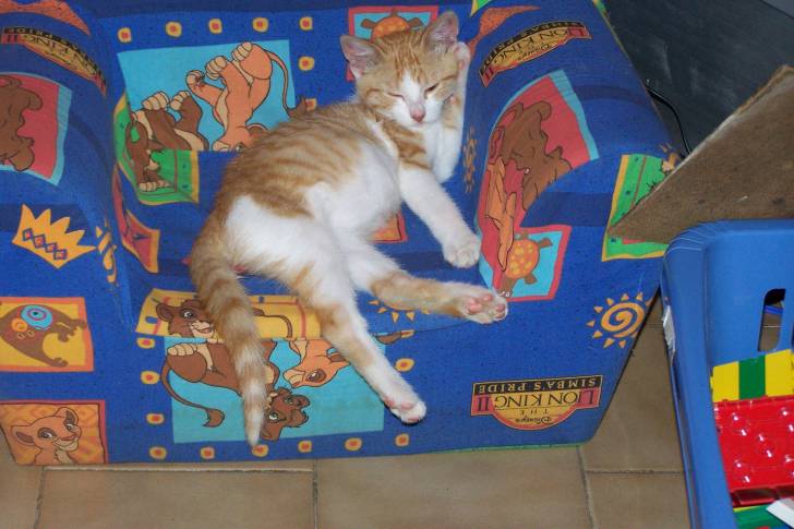 Bichoune - (5 ans)