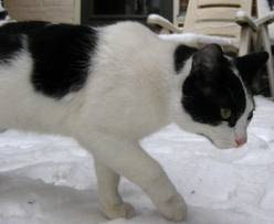 Pretty Momma - (3 ans)