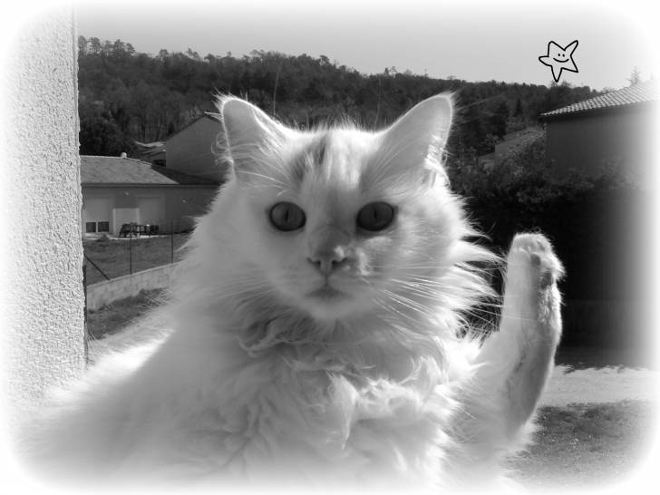 Bianca - (5 ans)