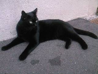 Bianca - (8 ans)