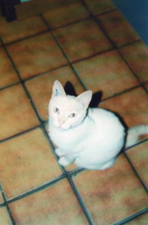 Lili - (10 ans)