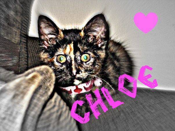 Chloe - (4 ans)