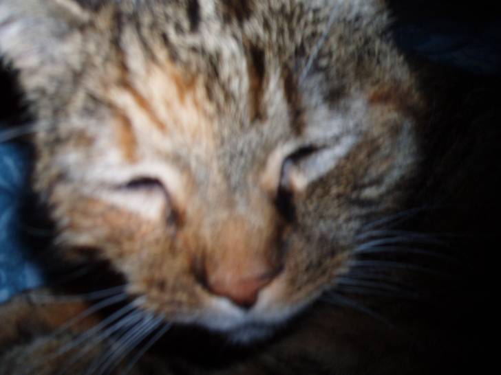 Nishika - (14 ans)