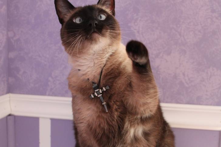 Roxanne - (6 ans)