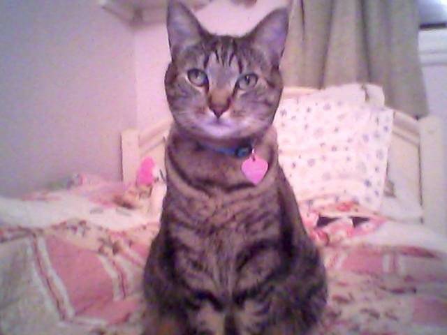 Kona - (2 ans)