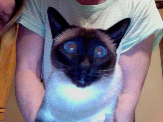 Maya - (12 ans)