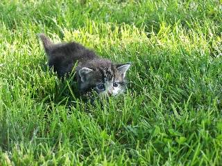 Marble - (2 ans)