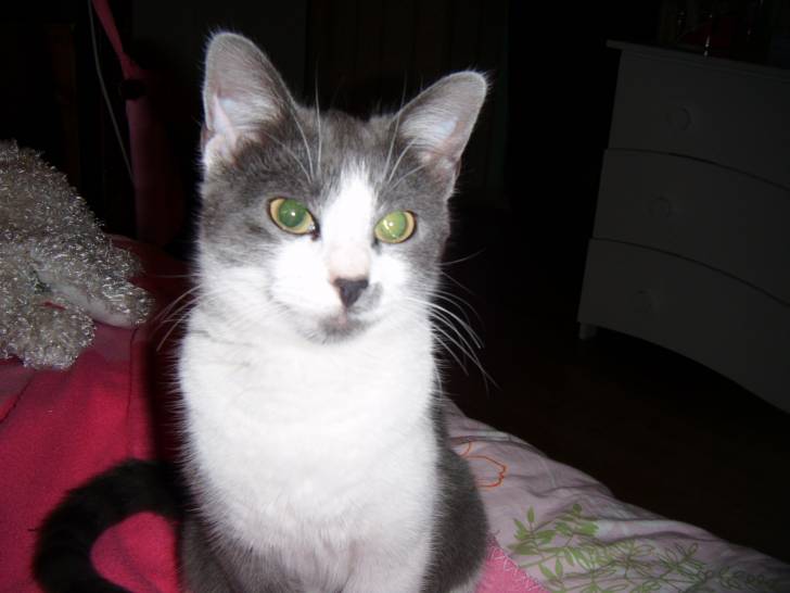 Chanel - (2 ans)
