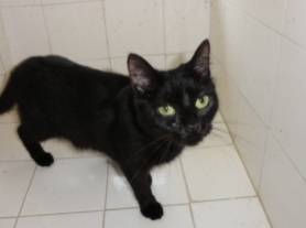 Klem - (2 ans)