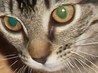 Glup's - (5 ans)