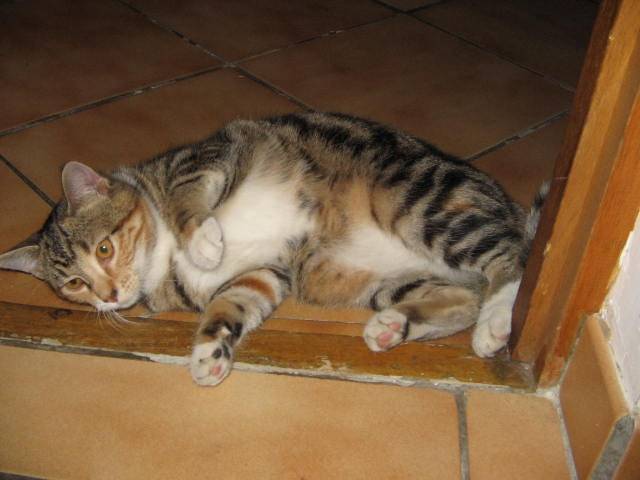 Mia - (1 an)