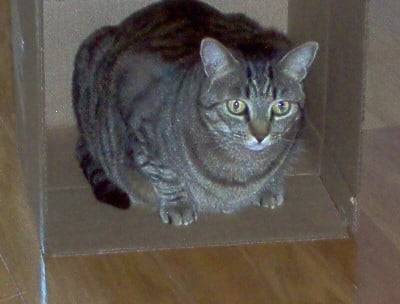 She Was My Pride And Joy - (7 ans)