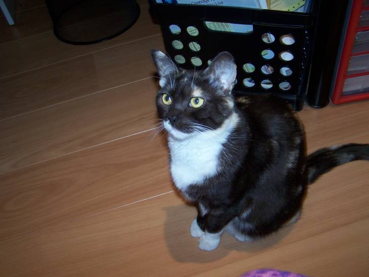 kiki - (5 ans)