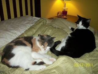 Millie and Sophie -