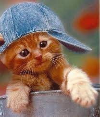 photos internet - (1 mois)