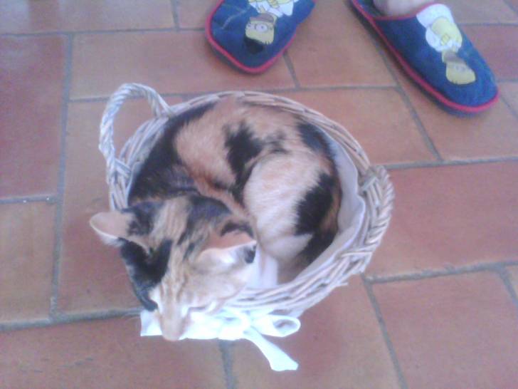 nina - (2 ans)