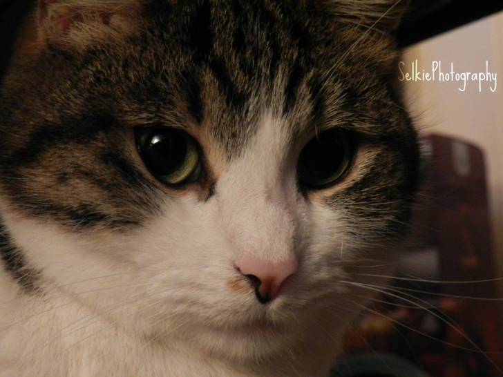 Sadie - (2 ans)