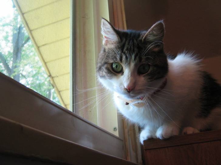 Sadie - (2 ans)