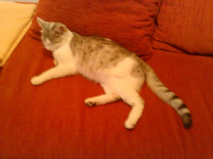 mimi - (3 ans)