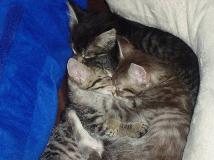 Baby's - (5 mois)