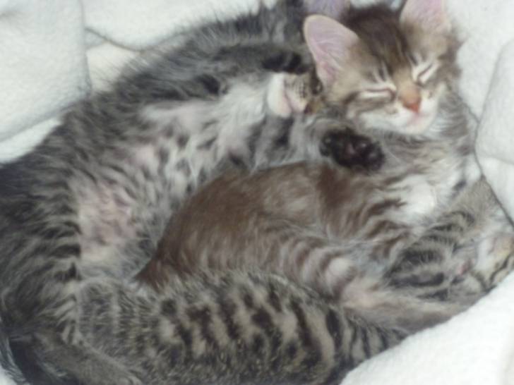 Baby's - (5 mois)