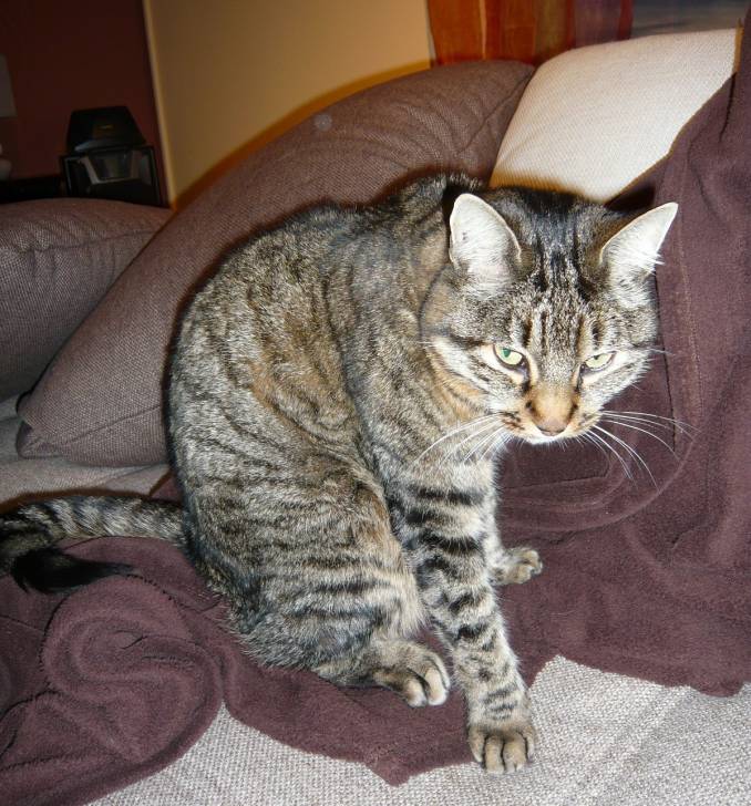 Friponne - (7 ans)