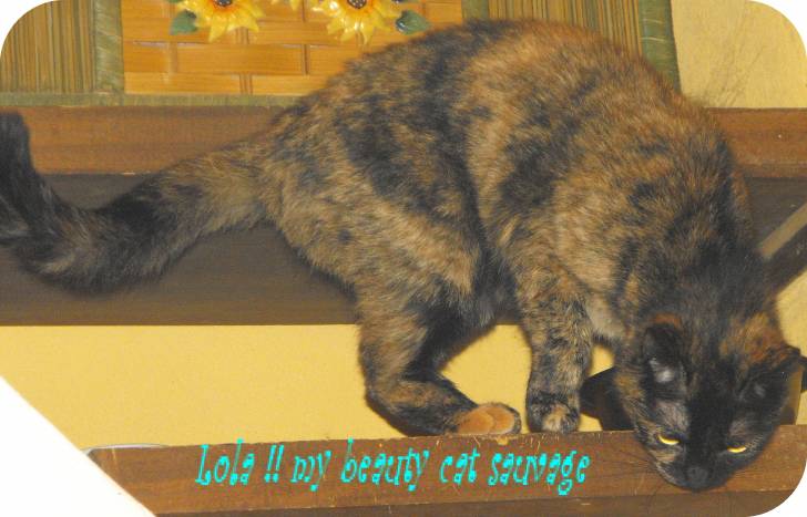 Lola - (9 ans)