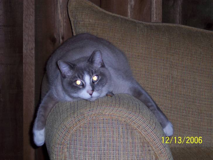 Snickers - (13 ans)