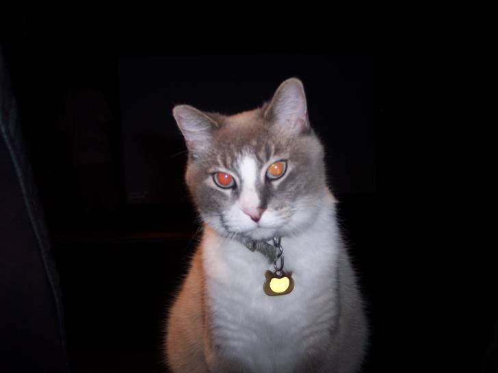 Snickers - (13 ans)
