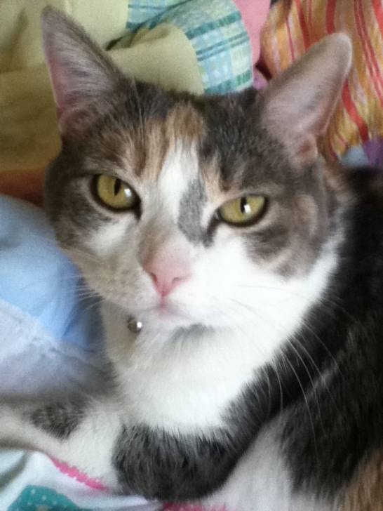 Pj - (6 ans)