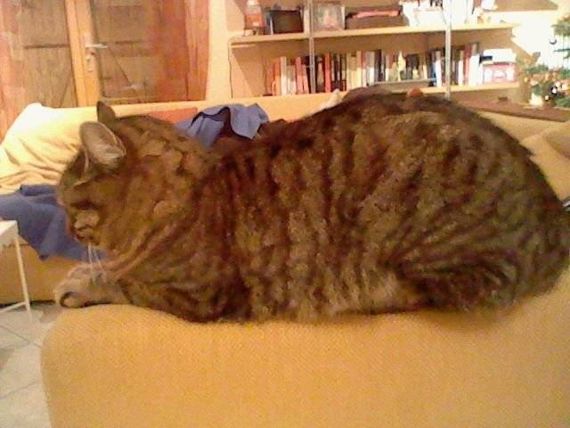Friponne - (7 ans)
